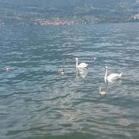 Appartamento Vista Lago - Betta Lezzeno Bagian luar foto