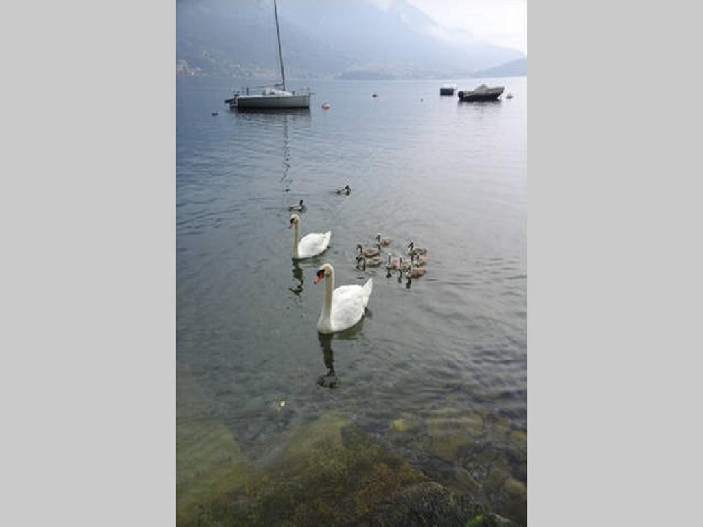 Appartamento Vista Lago - Betta Lezzeno Bagian luar foto